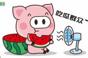 娱乐吃瓜说,吃瓜群众背后的故事